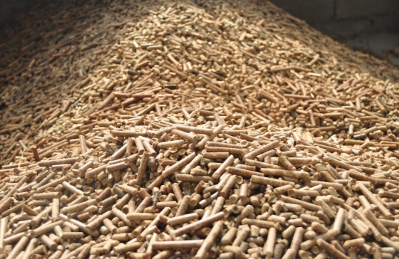 Cuáles son las oportunidades de crecimiento en el mercado de máquinas para fabricar pellets de combustible?
