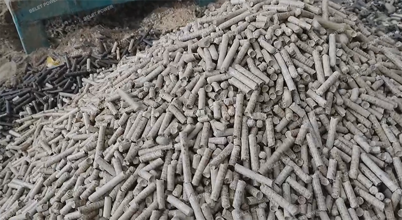 Planta de Pellets de Madera de 5 a 8 toneladas por hora en el Sudeste Asiático