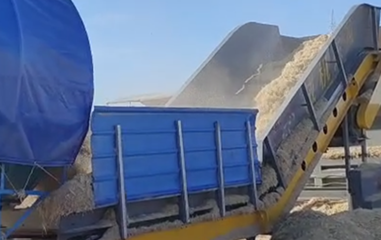 Trituración de Cáscara de Paja de 6 a 8 toneladas por hora en Mongolia