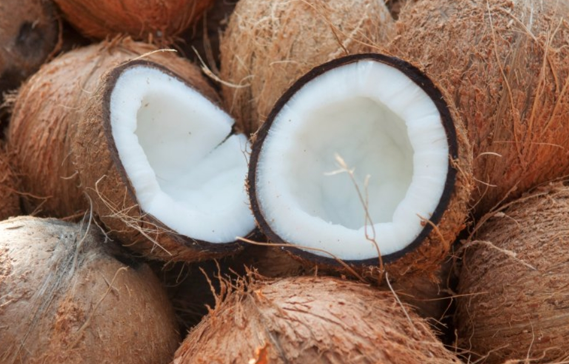 ¿Cuál es la diferencia entre la cáscara (fibra) del coco y la cáscara dura (caparazón)?